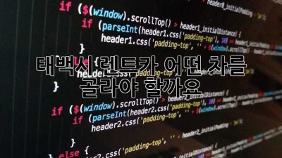 태백시 렌트카, 어떤 차를 골라야 할까요?