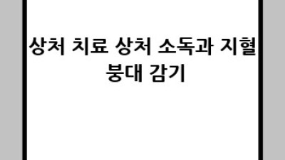 우리 강아지, 응급상황 대처법 완벽 가이드